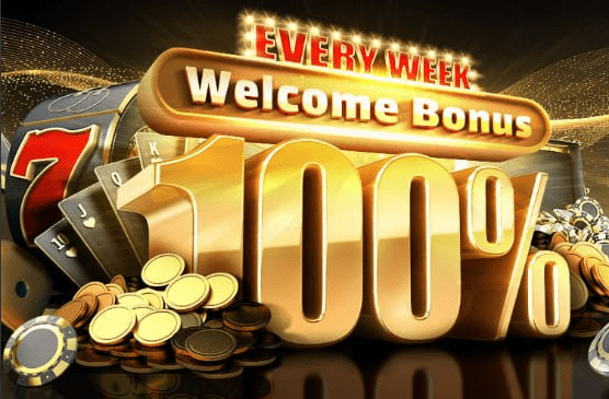 100& BONUS