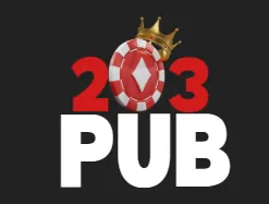 203PUB