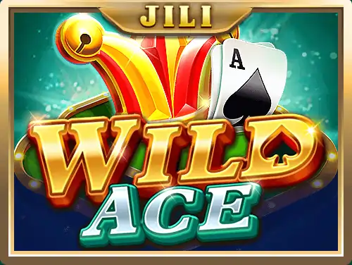 wild ace app