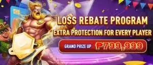 loss rebate